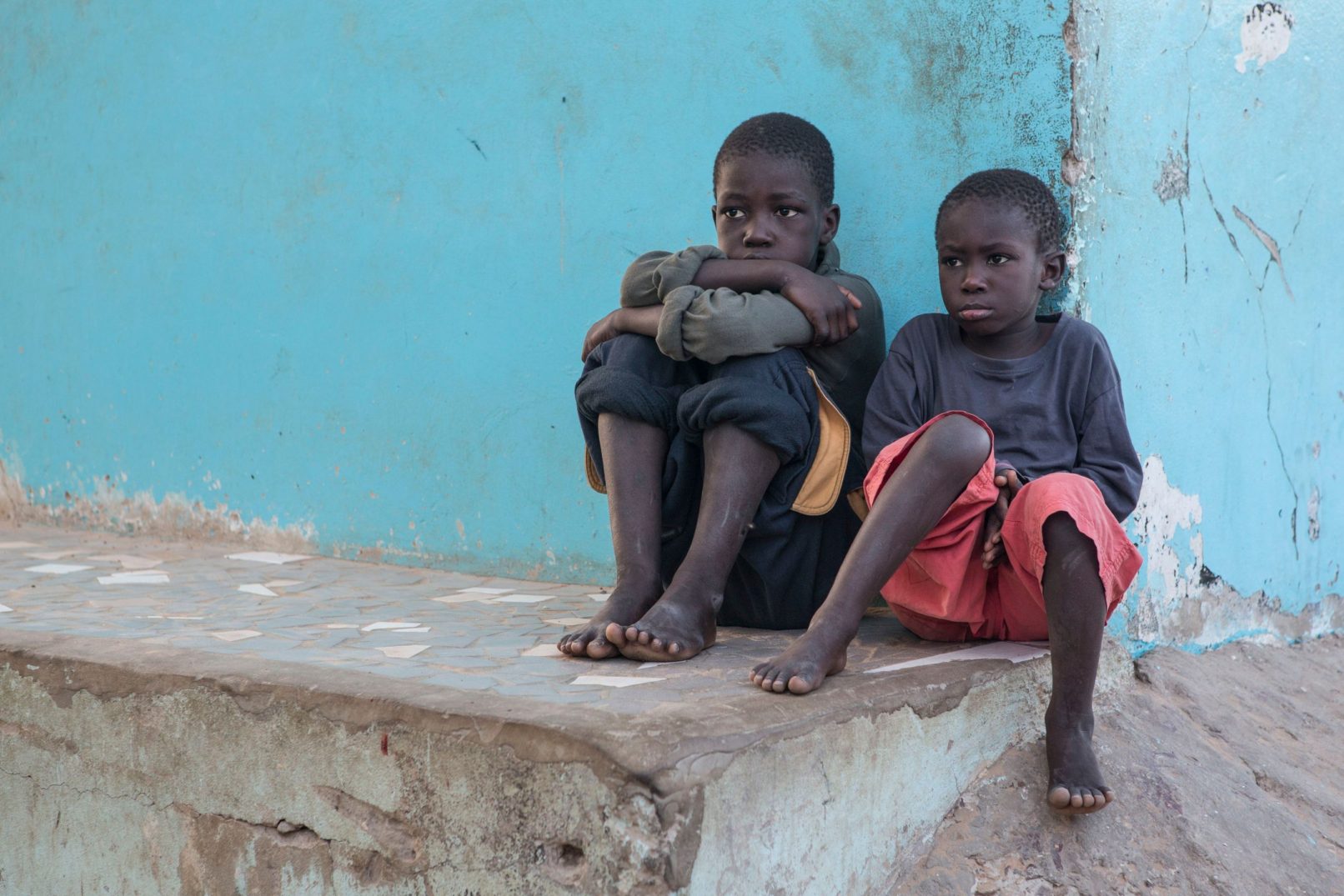 Danmarks Indsamling Image