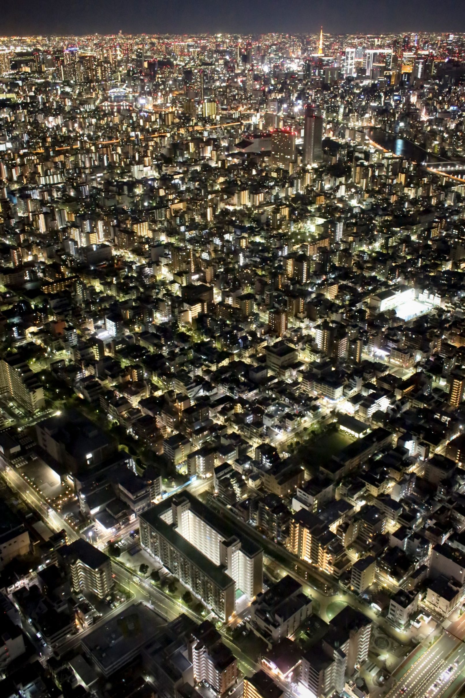 Skytree View