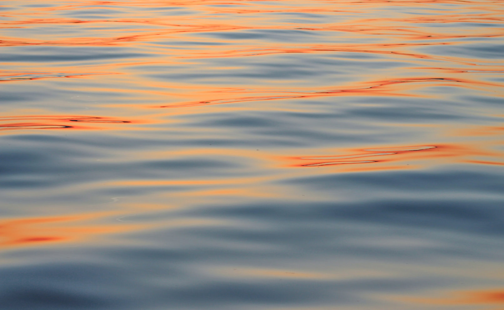 Colorful Waves
