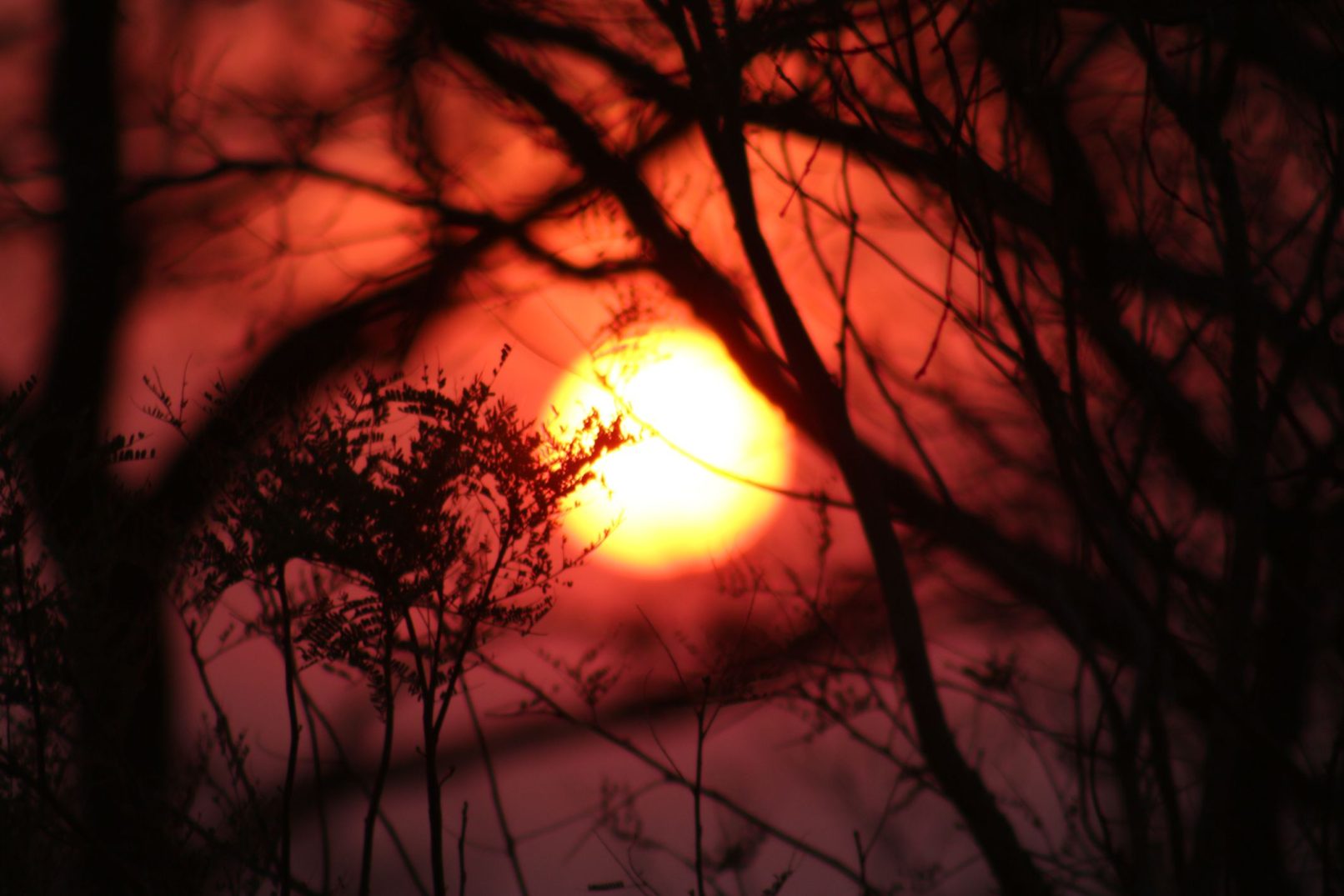 African Sunset