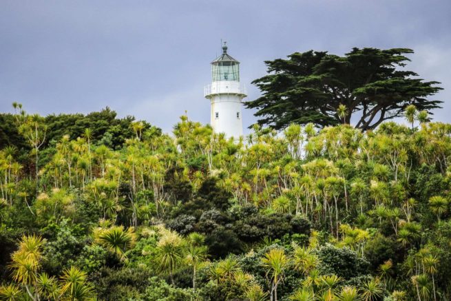 Tiritiri Matangi Lighthouse