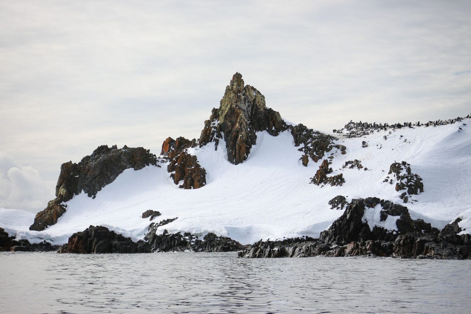 Birds on Mountain