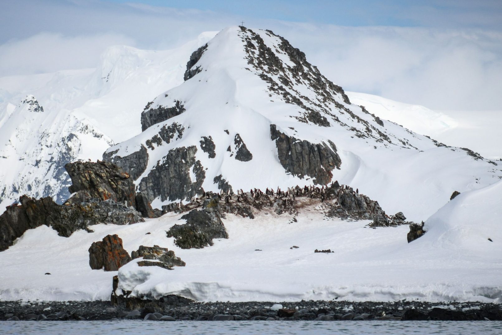 Birds on Mountain