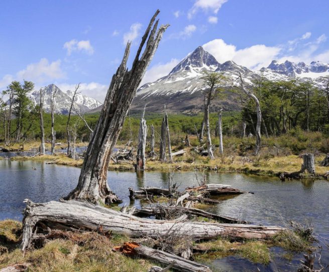 Tierra del Fuego