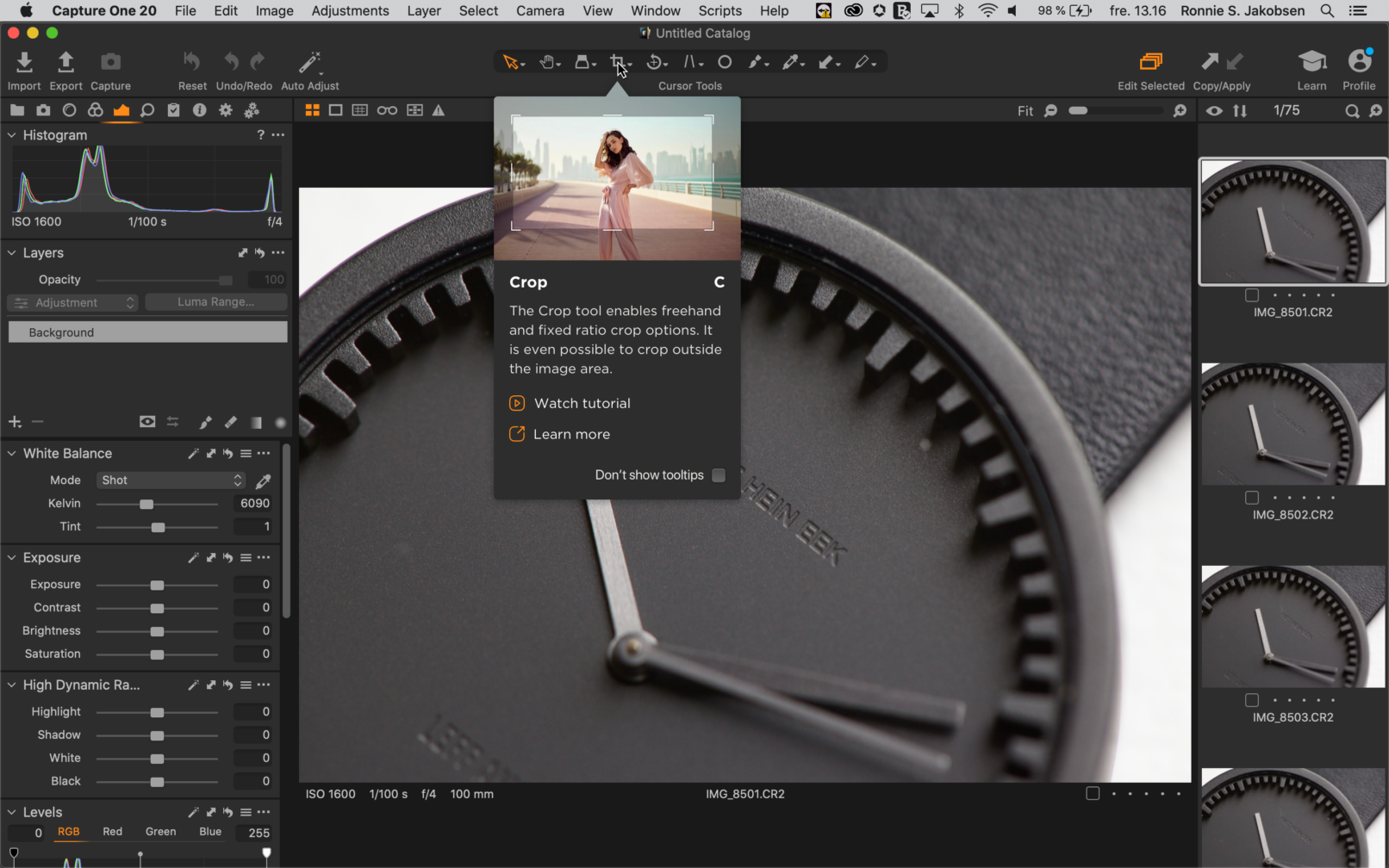 Conceptual Mock-Up of Crop Tooltip