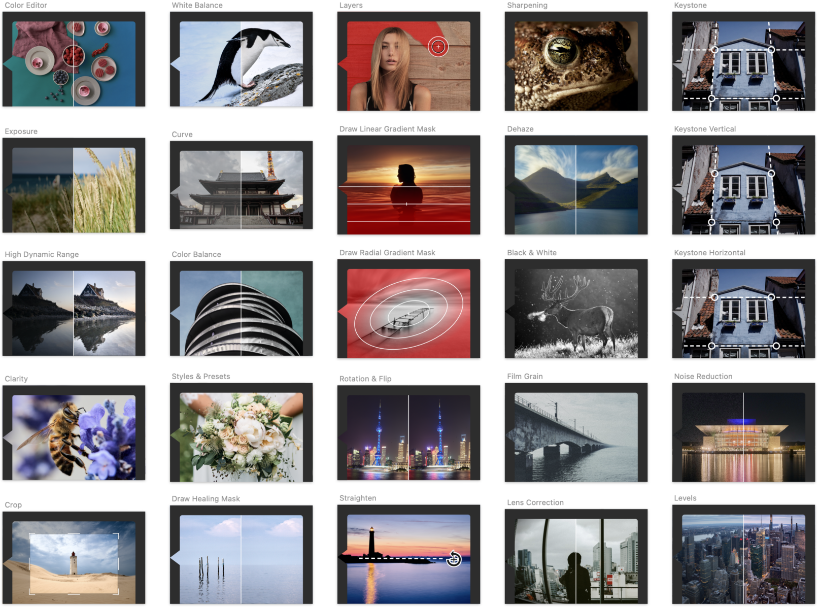 Final Set of Illustrations