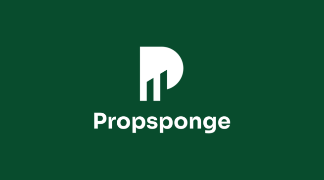 Propsponge Cover